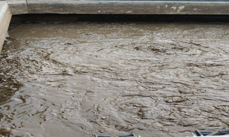 Xử lý bùn nước thải